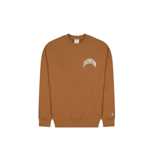 Champion Crewneck Sweatshirt