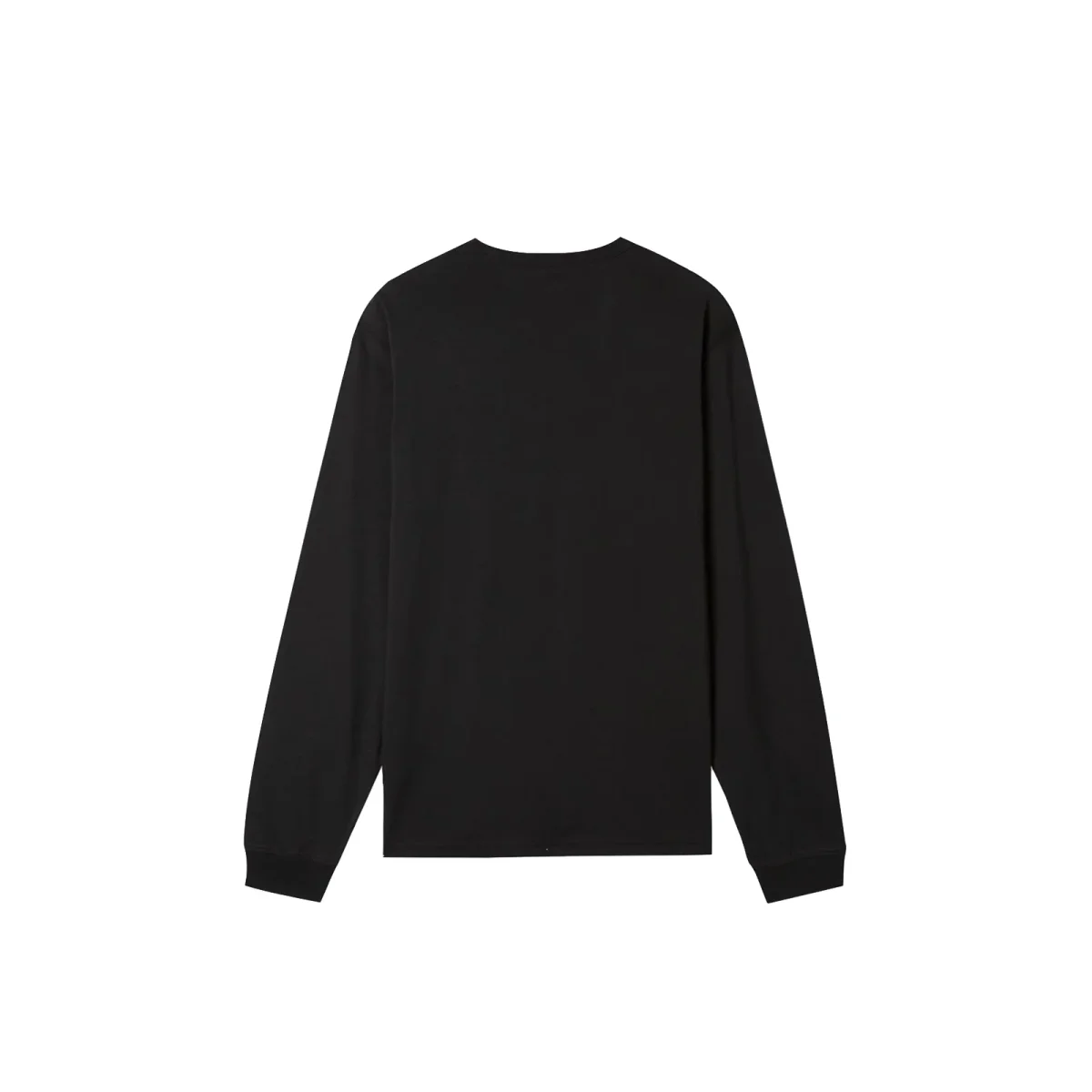 Dickies Aitkin Tee L/s - immagine 3
