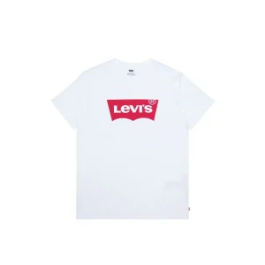 Levi's Graphic Setin Neck HM Graphic