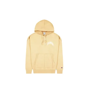Champion Hooded Sweatshirt