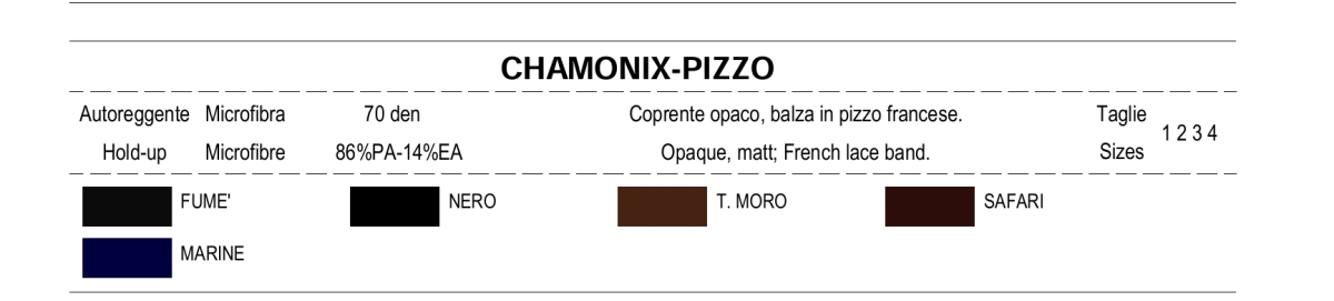 CHAMONIX AUTOREGGENTE - immagine 3