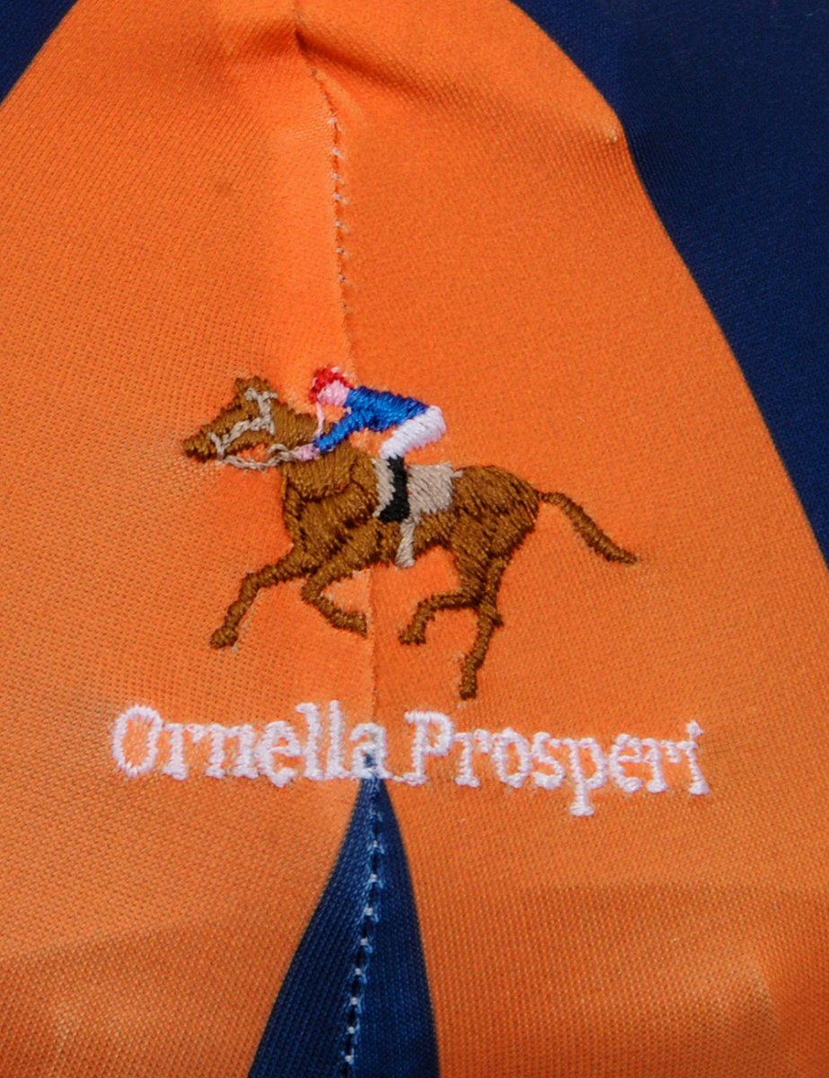 Copricasco in lycra stampata personalizzato - immagine 4