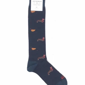 Calzino lungo bassotto blu